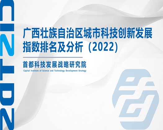 草逼c0m【成果发布】广西壮族自治区城市科技创新发展指数排名及分析（2022）